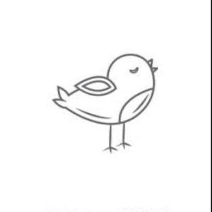 Meet your Posher, The happy bird